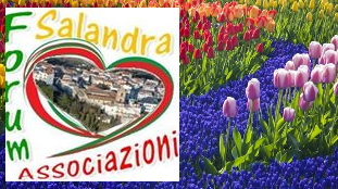 associazioni
